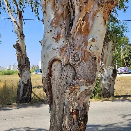 Apartamento Luxe Benedenwoning Nula *