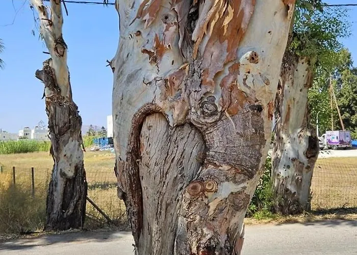 Apartmán Luxe Benedenwoning Nula *